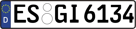 ES-GI6134