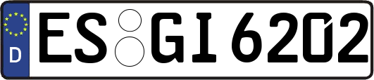 ES-GI6202
