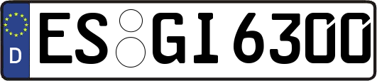 ES-GI6300