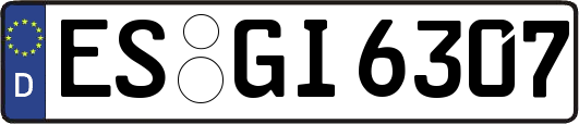 ES-GI6307