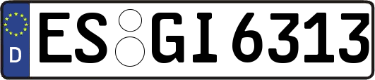 ES-GI6313