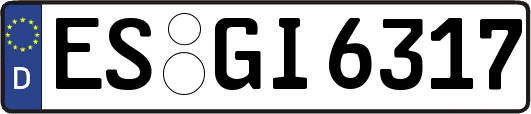 ES-GI6317