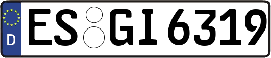 ES-GI6319