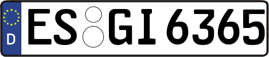 ES-GI6365