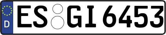 ES-GI6453