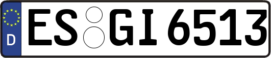 ES-GI6513