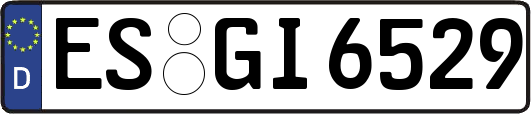 ES-GI6529