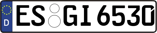ES-GI6530