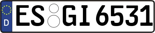 ES-GI6531