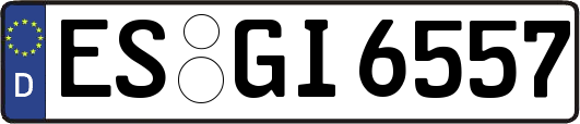 ES-GI6557