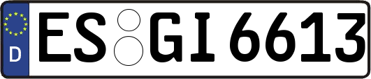 ES-GI6613