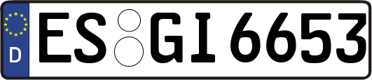 ES-GI6653