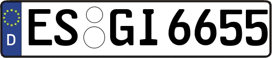 ES-GI6655