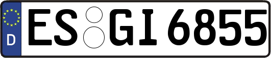 ES-GI6855