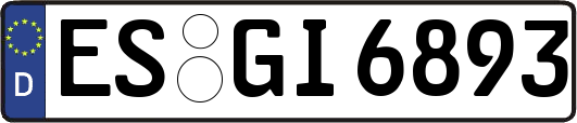 ES-GI6893