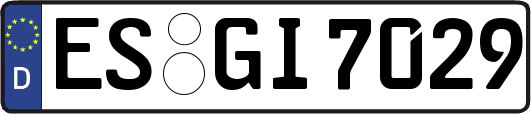 ES-GI7029