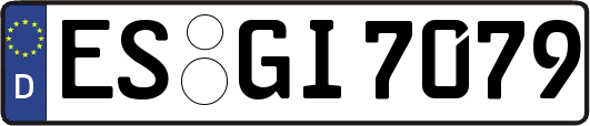 ES-GI7079