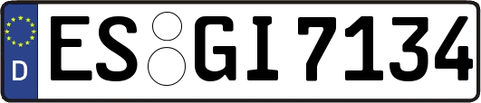 ES-GI7134