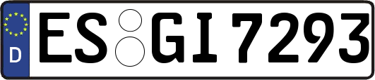 ES-GI7293
