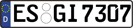 ES-GI7307