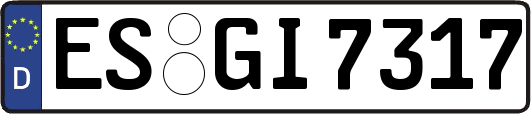 ES-GI7317