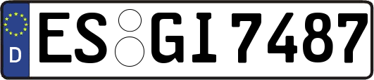 ES-GI7487