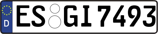 ES-GI7493