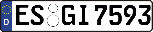 ES-GI7593