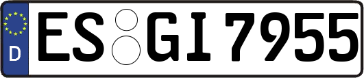 ES-GI7955