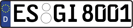 ES-GI8001