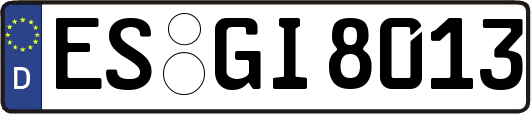 ES-GI8013