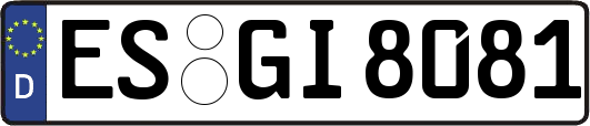 ES-GI8081