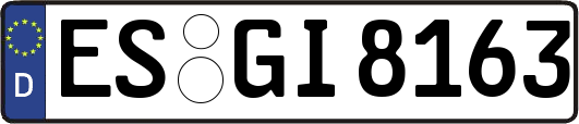 ES-GI8163