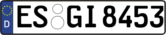 ES-GI8453