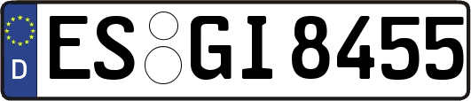 ES-GI8455
