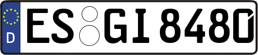 ES-GI8480