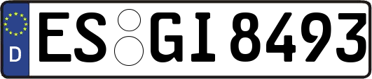 ES-GI8493