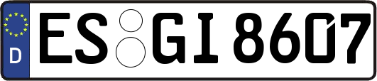 ES-GI8607