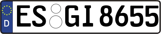 ES-GI8655