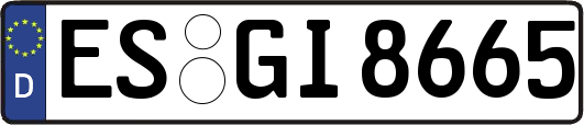 ES-GI8665