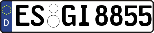 ES-GI8855