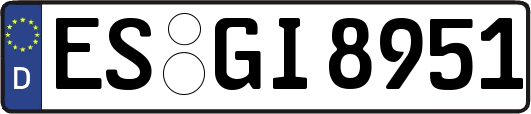 ES-GI8951