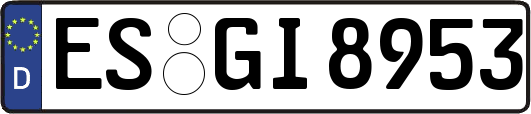 ES-GI8953