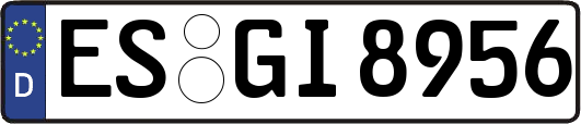 ES-GI8956