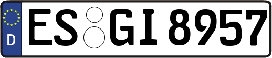 ES-GI8957