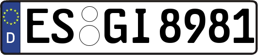 ES-GI8981