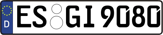 ES-GI9080