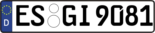 ES-GI9081
