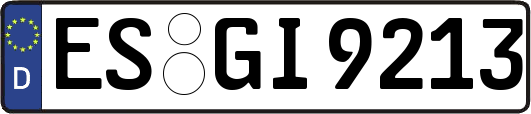 ES-GI9213
