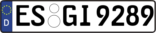 ES-GI9289